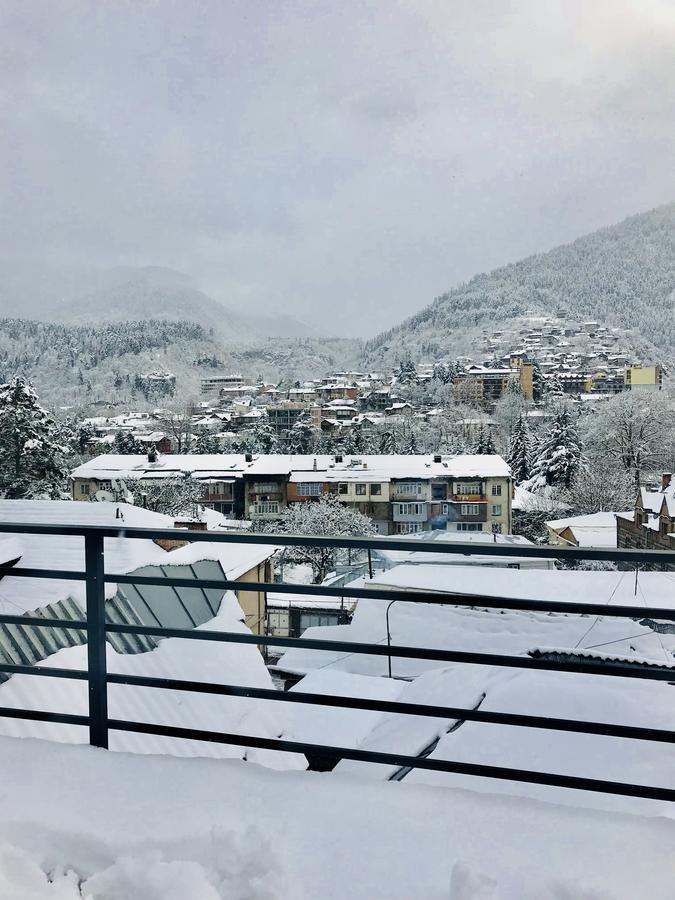 Borjomi Inn エクステリア 写真